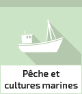 Groupe Pêche, navigation et cultures marines