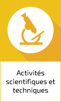 Groupe Activités scientifiques et techniques ; services administratifs et de soutien