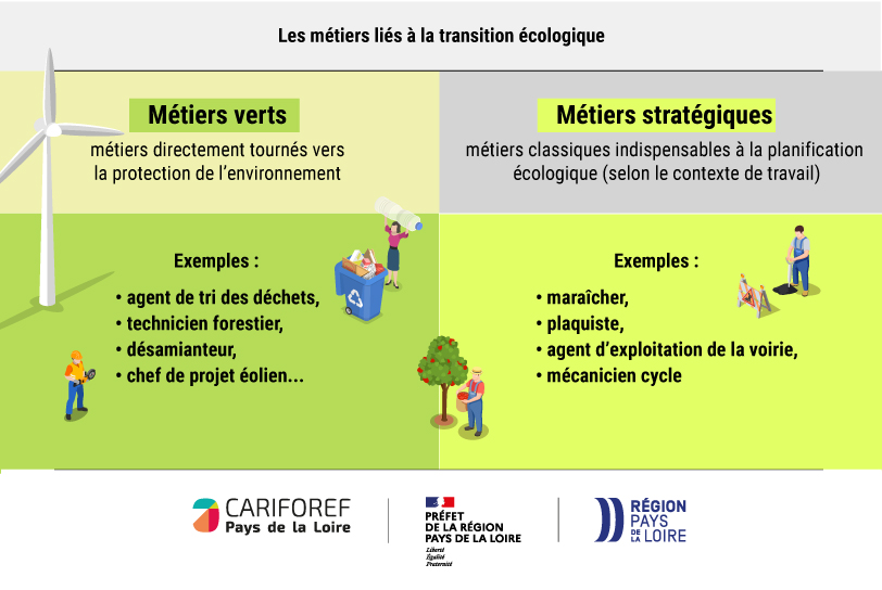 infographie décrivant les métiers liés à la transition écologique